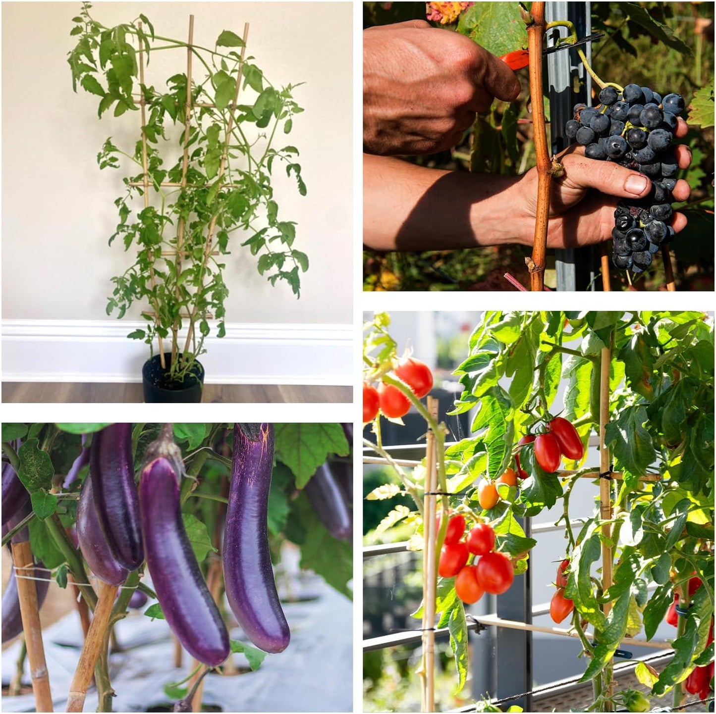 Plant Stakes 4FT, Natural Bamboo Stakes, HAINANSTRY 25Pcs Sturdy Bamboos Garden Stake, Bamboo Sticks for Plants, Beans, Indoor and Outdoor Climbing Plants, Tomato Vegetable Stakes for Garden