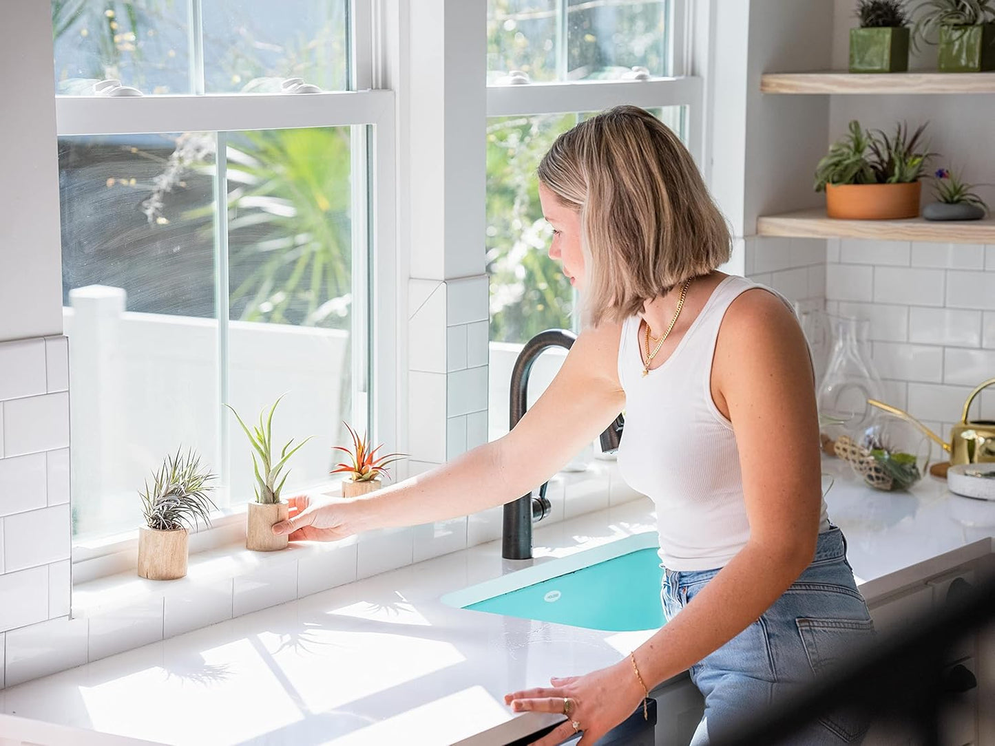 30 Pack Air Plants Assorted Tillandsia Ionantha - Live Succulent House Plants - Available in Wholesale and Bulk - Home and Garden Decor - Easy Care Indoor and Outdoor Plants