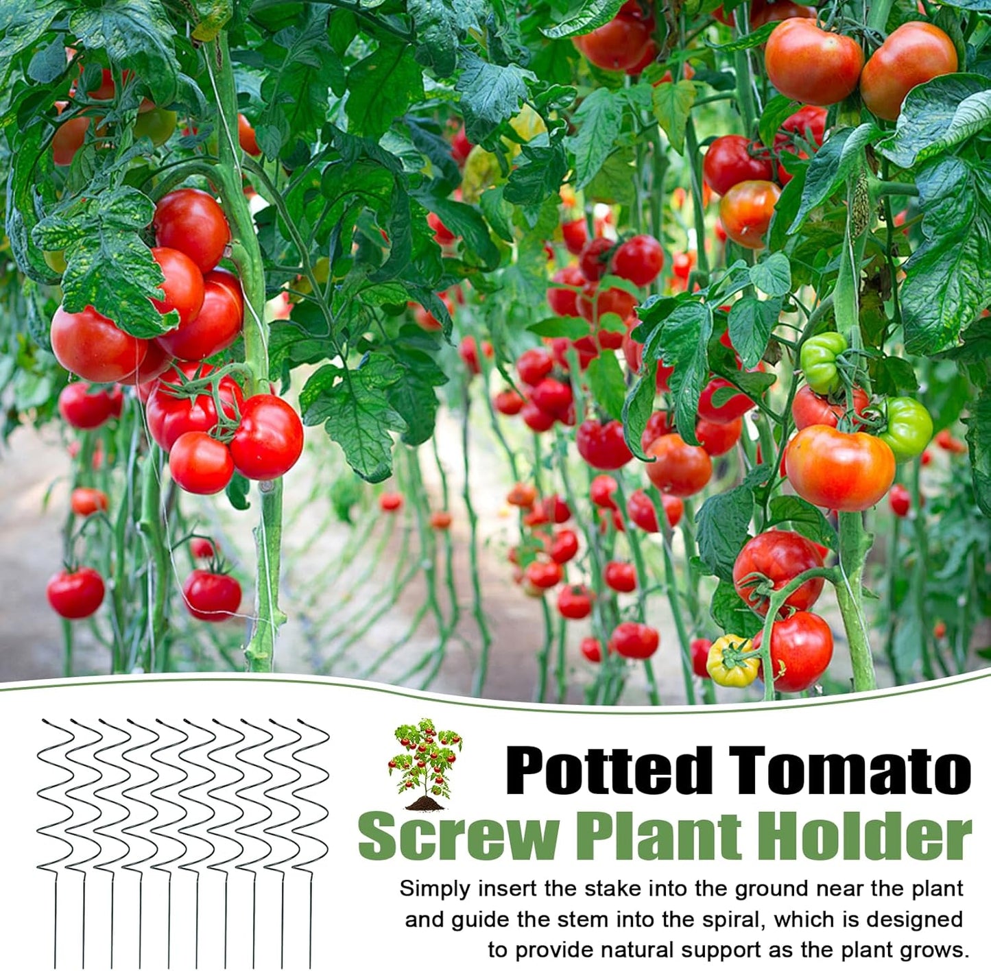 10 Pack Tomato Twist Stake, Spiral Tomato Stakes for Indoor Outdoor, Spiral Garden Stakes for Climbing Plants, Tomatoes, Roses & Garden Vines