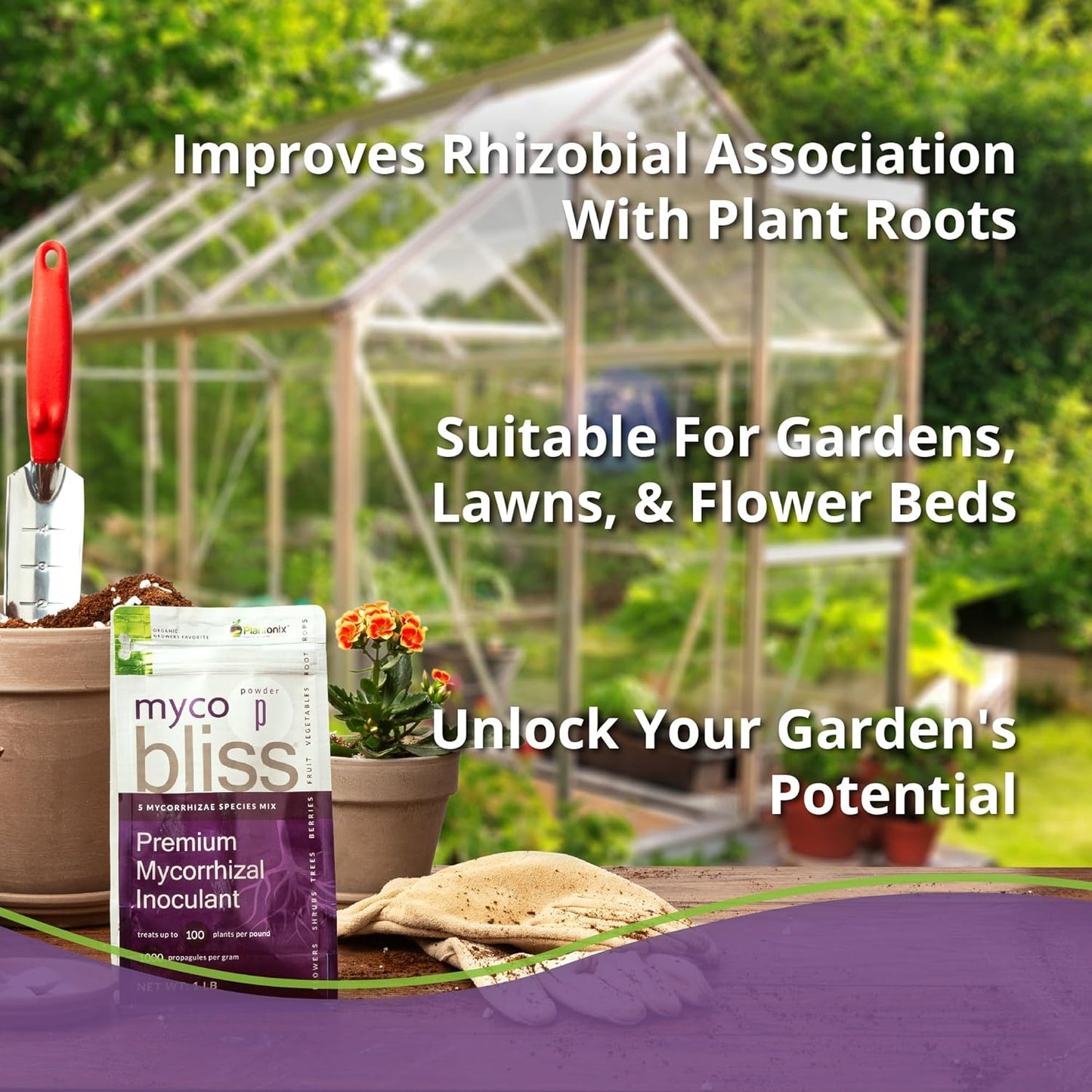 Myco Bliss Granular (200 g) - Mycorrhizal Fungi for Plants - 5 Strain Mycorrhizal Inoculant with 1000 Propagules Per Gram - Highly Concentrated Mycorrhizae for Plants, Potting Soil, & Garden Soil