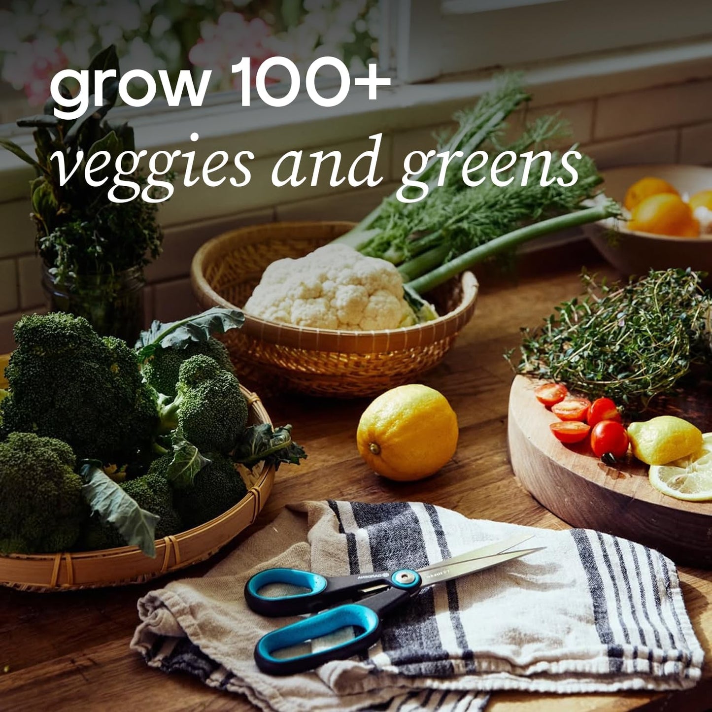 Farmstand Starter Kit + 18 Seedling Credits | Small Hydroponic Growing System Kit | Self-Watering Outdoor Vertical Garden Planter Tower | 4ft 3in | Made in USA