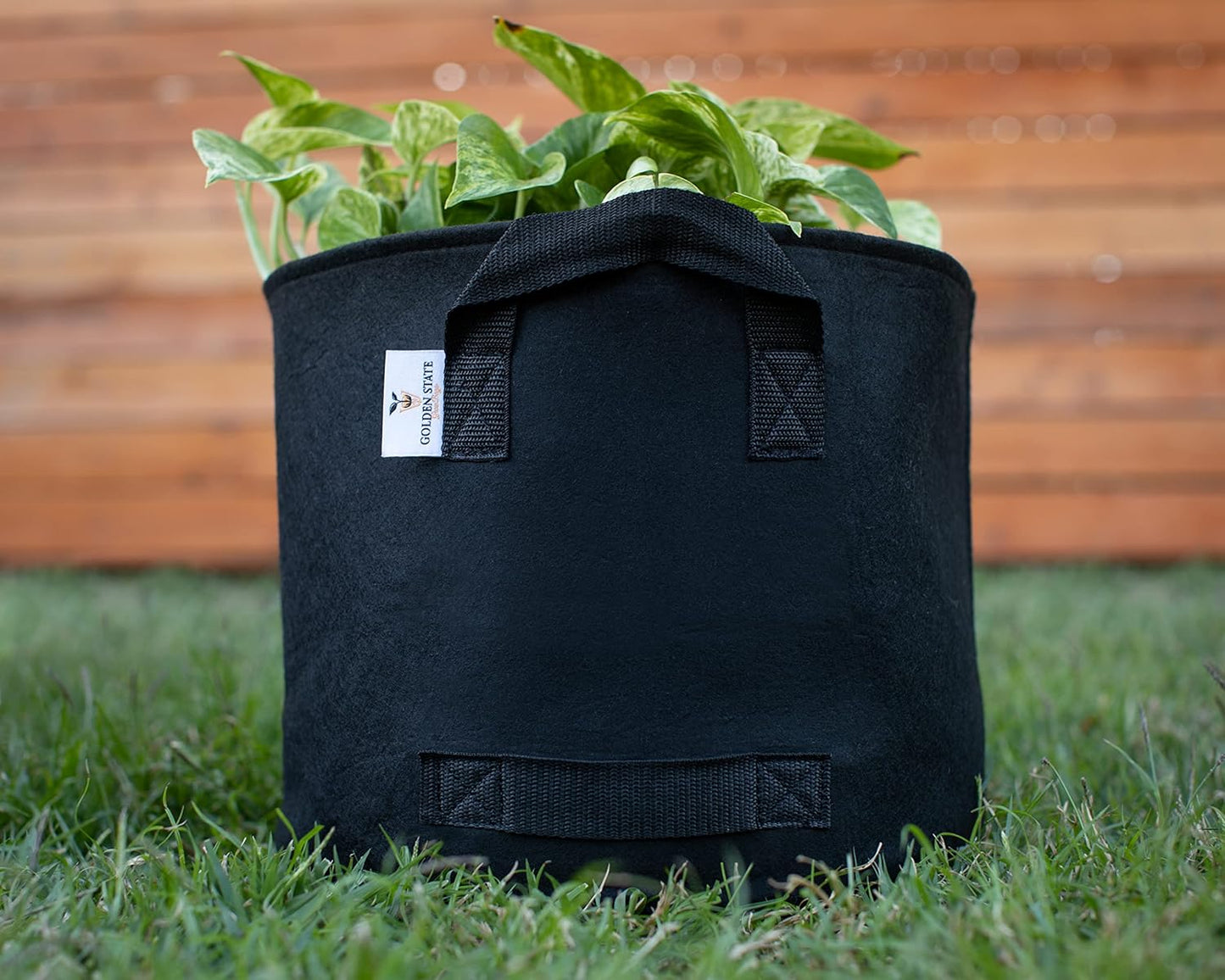 Grow Bags: 5-Pack (Size: 20 Gallon): 300gsm Black Felt Fabric, Biodegradable and eco-Friendly Material. (Handles + Dumping Handles-pat.Pend).