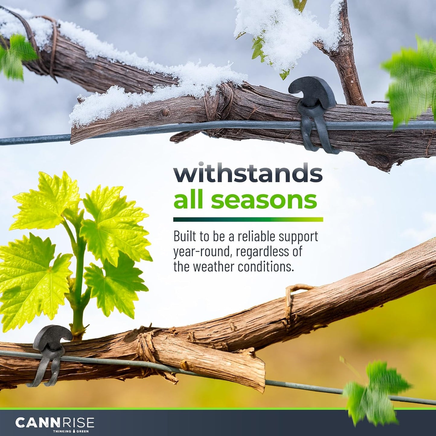 Anchor Rubber Bands for Trellising – 110 Pack of 5 cm/1.96 inches Rubber Bands for Outdoor Plant Support, Climbing Plants, Grape Vines, Trees – UV-Protected, Elastic, Multi-Purpose Use