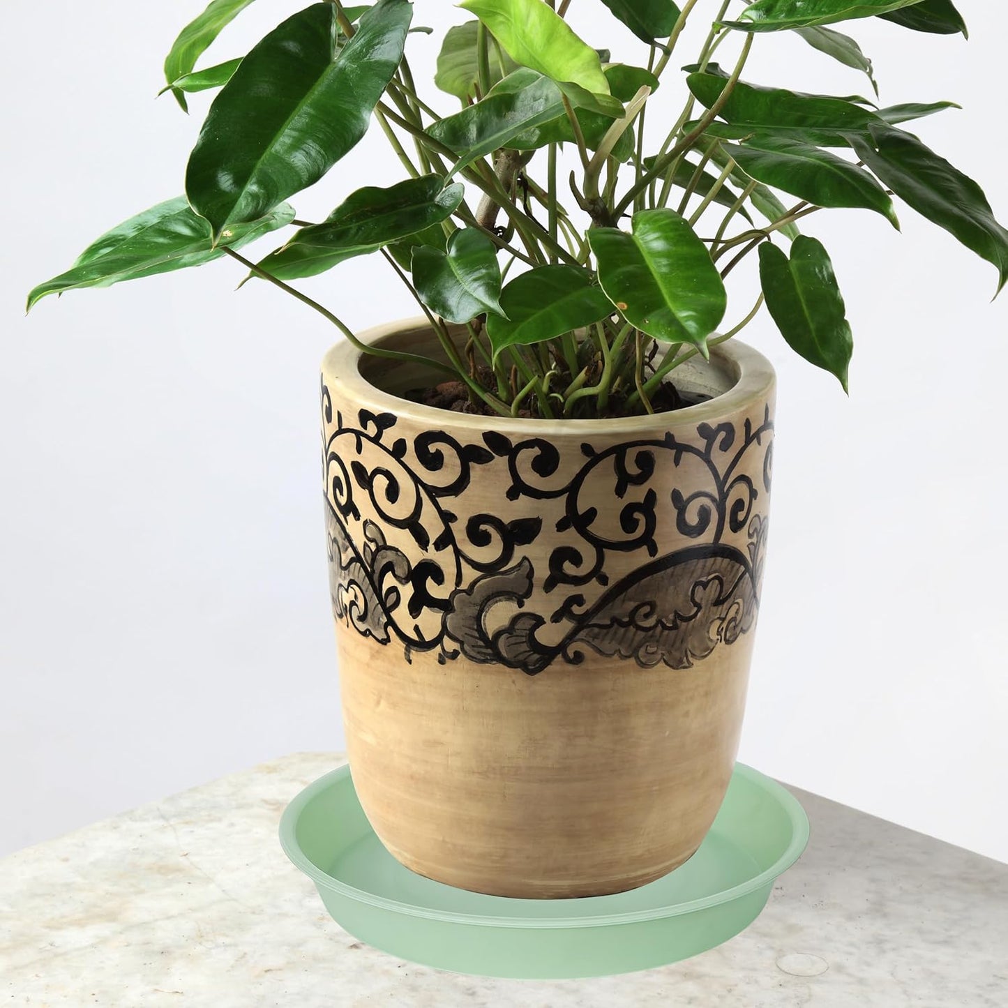 4 Pack of 14 inch Plant Saucers Bird Bath Bow Round, Plastic Plant Saucer Tray for Pots, White Planters for Indoor Plants, Plant Trays for Planter 12-15" (14", Light Green)