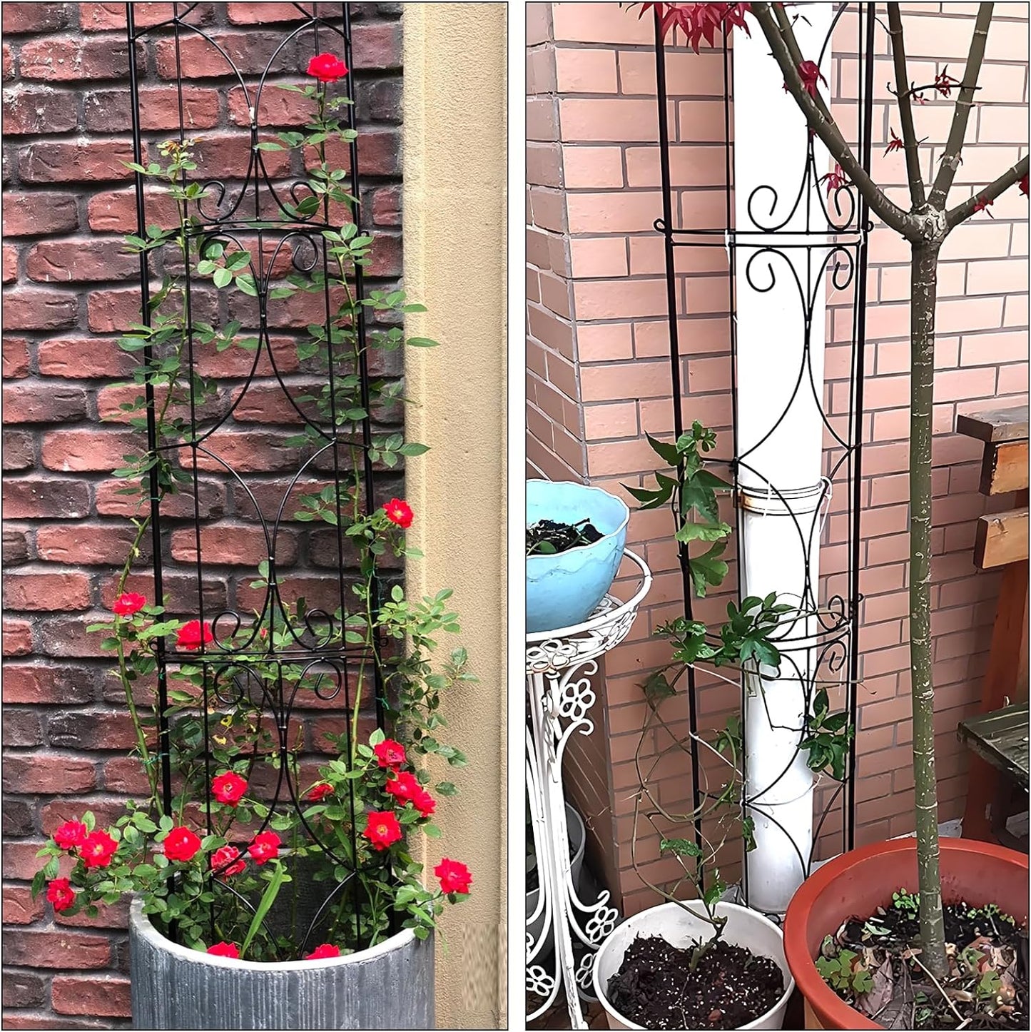 Garden Trellis 2 Pack 72'' H x 12'' W Metal Plant Trellis Indoor/Outdoor Metal Garden Trellis Plant Trellis for Potted Plants Climbing Houseplants Flowers