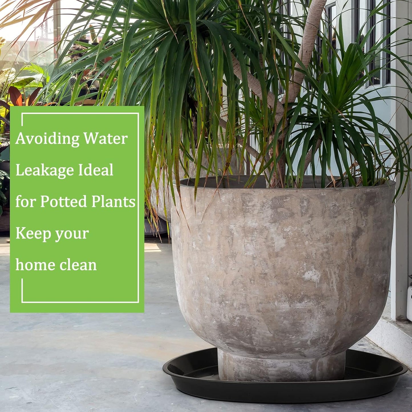 Eccliy 12 Pcs Plastic Plant Saucers Round Plant Tray Large Flower Pot Heavy Duty Planter Water Trays Thick Planter Drip Saucers for Indoors and Outdoors(20 Inch,Black)