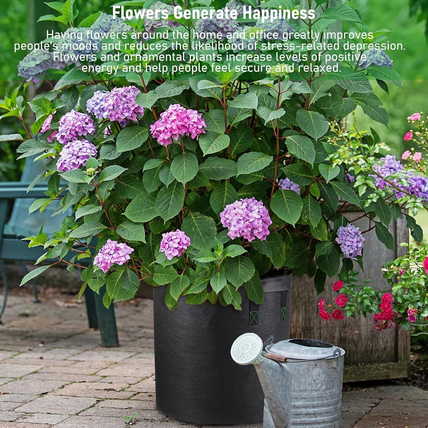 Grow Bags Set - 5 Gallons 5 Pack, Black Fabric Grow Pots for Indoor and Outdoor Planting, Cultivate Your Crops with Ease