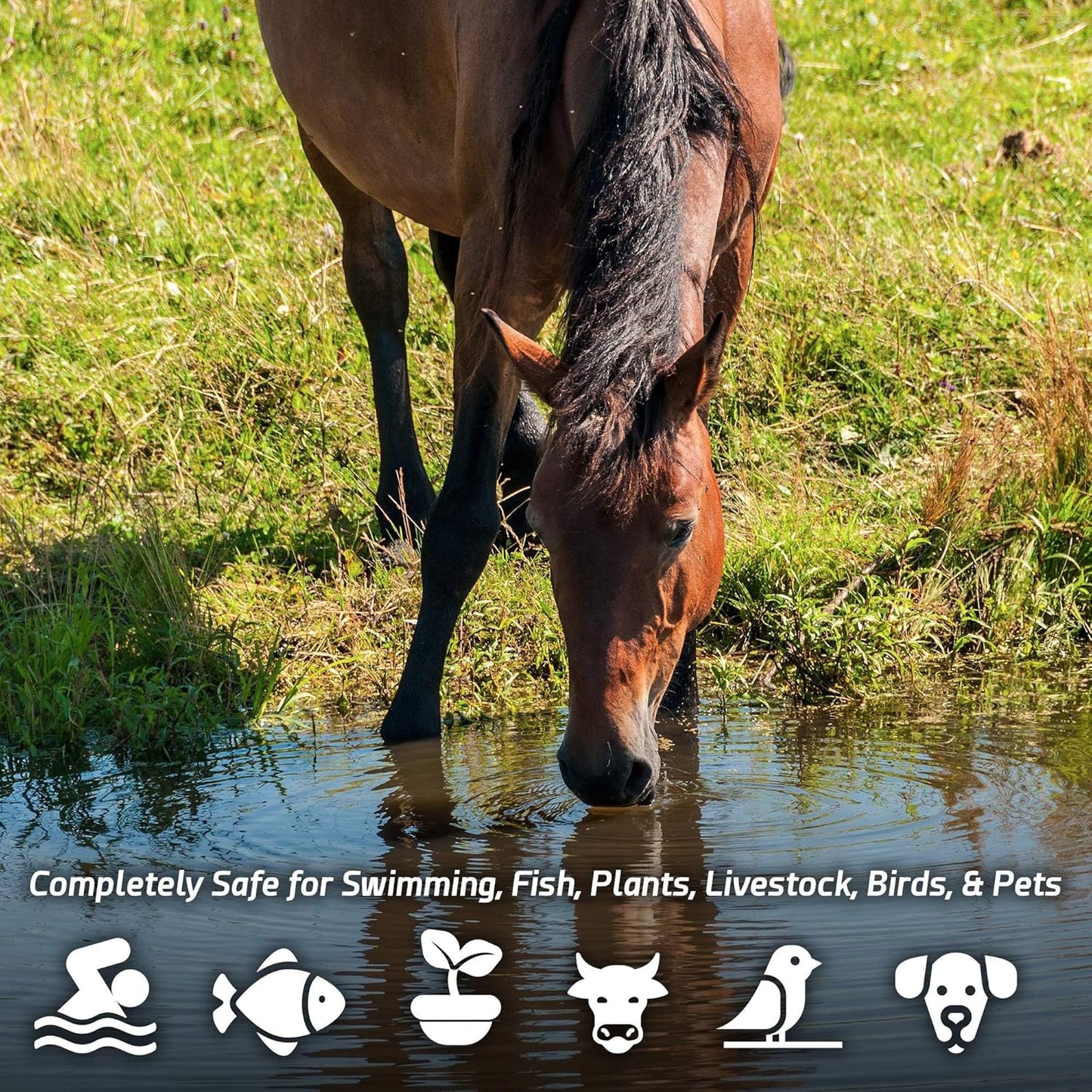 Pond Sludge Remover – 5 Pounds Beneficial Pond Bacteria & Enzyme Treatment - 100% Natural Muck Digester – Safe for All Aquatic Life and Recreation - Made in The USA