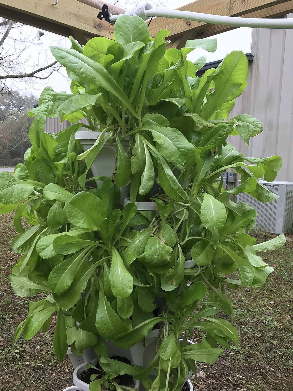 5-Tier 13 inch Strawberry and Herb Garden Planter - Stackable Gardening Pots with 10 Inch Saucer (Black)