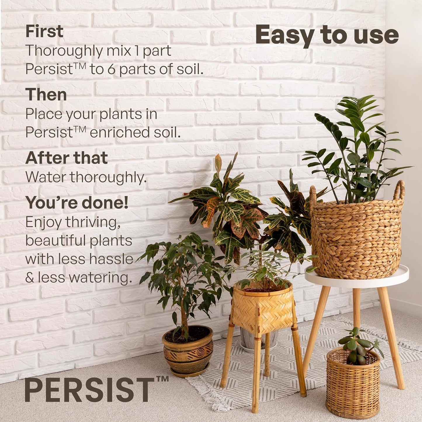 Persist Horticultural Charcoal 3qt Bag, Biochar Soil Amendment for Indoor Plants, Improves Soil for Terrariums, 100% Natural Active Carbon and House Plant Enhancer.