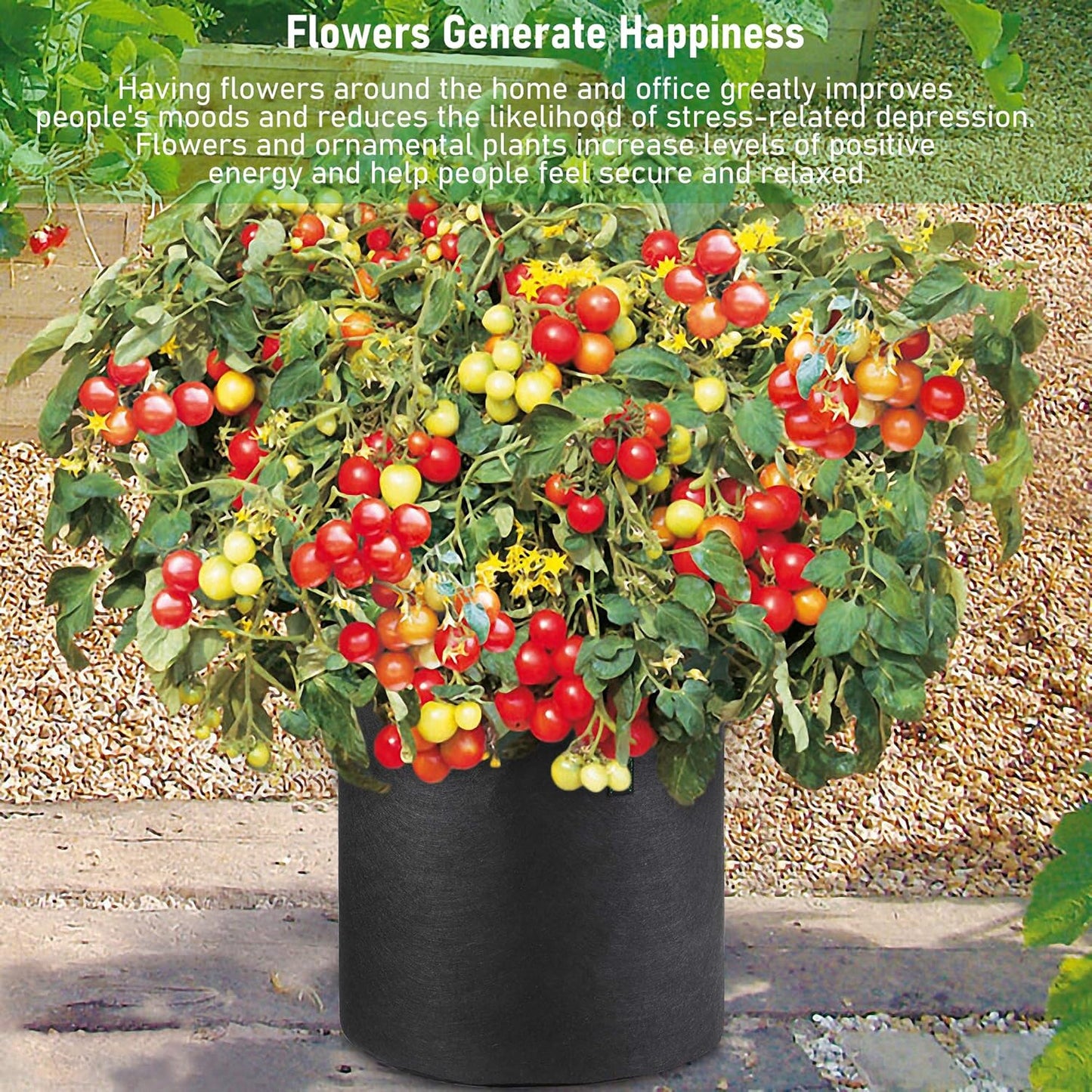 Grow Bags Set - 7 Gallons 5 Pack, Black Fabric Grow Pots for Indoor and Outdoor Planting, Cultivate Your Crops with Ease