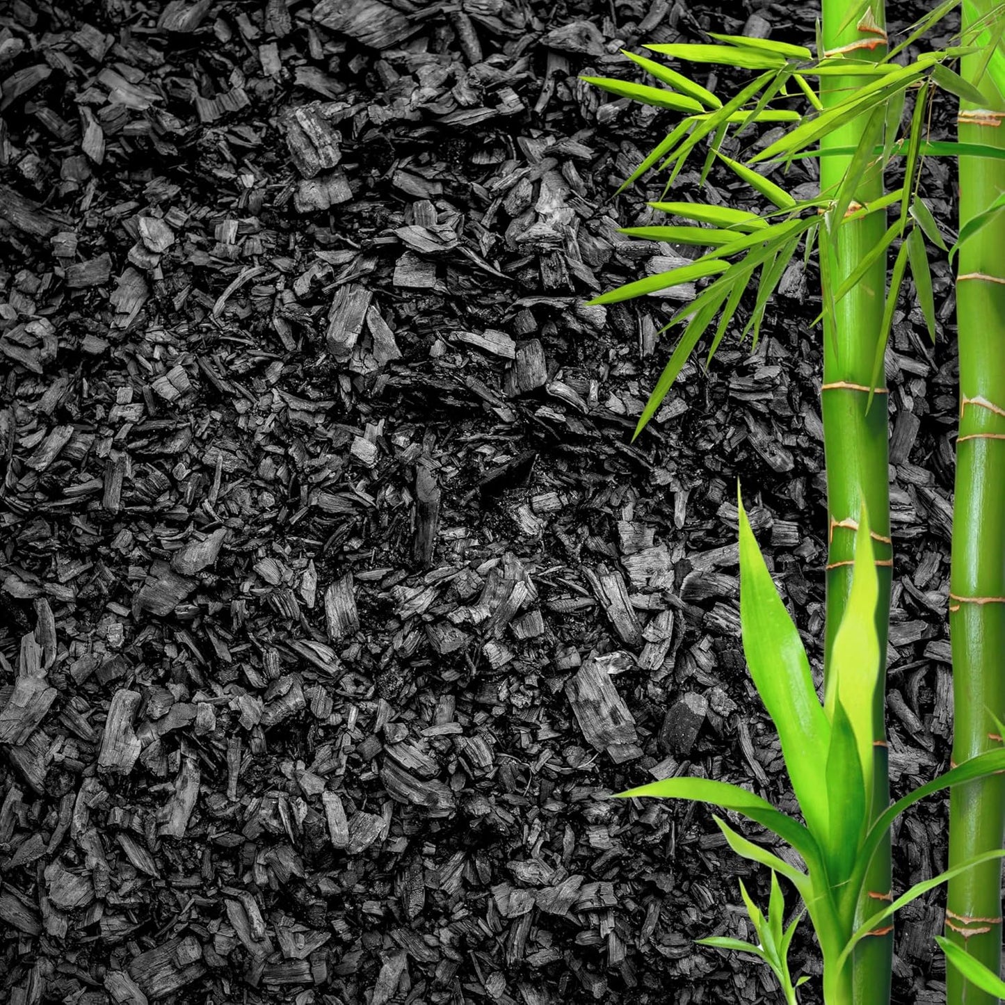 Horticultural Charcoal for Plants ā Organic Bio Char Soil Amendment for Terrariums, Indoor Plants & Gardening, Made in USA (5 quarts)