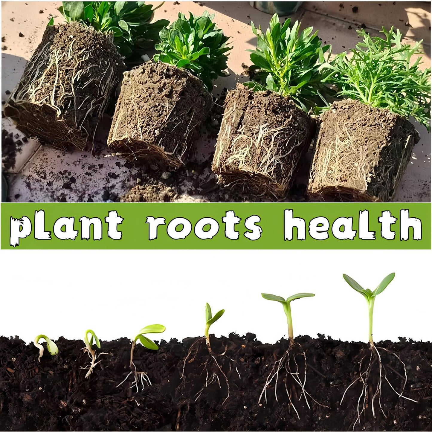 240 Cells Peat Pots Seed Starter Tray 24 Packs Biodegradable Seedling Pots Germination Trays Peat Pot for Seedling Organic Seed Starting Trays kit with 24 Labels 2 Transplant Tools