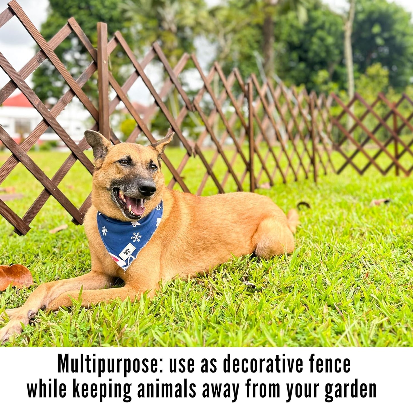 ShopLaLa Garden Fence - 2 Pack, Total 12ft (L) Wooden Lattice Flower Edging for Yard Lawn Landscape Patio Outdoor Decor, Expandable Plant Trellis Decorative Fences and Gates, Animal Barrier for Dogs