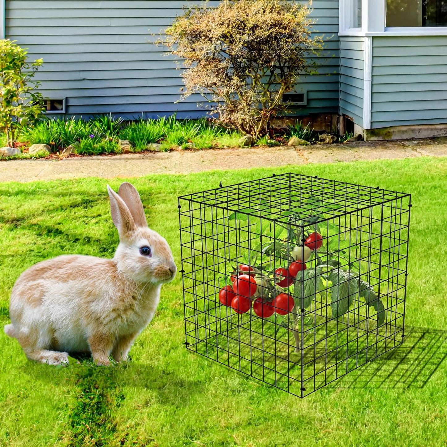 Adnee 7 Pack Wire Plant Protector with Cover-12x12x12 Inch Detachable Square Wire Cages to Prevent Animals-Metal Garden Plant Protector Cages for Protecting Plants Vegetables Flowers