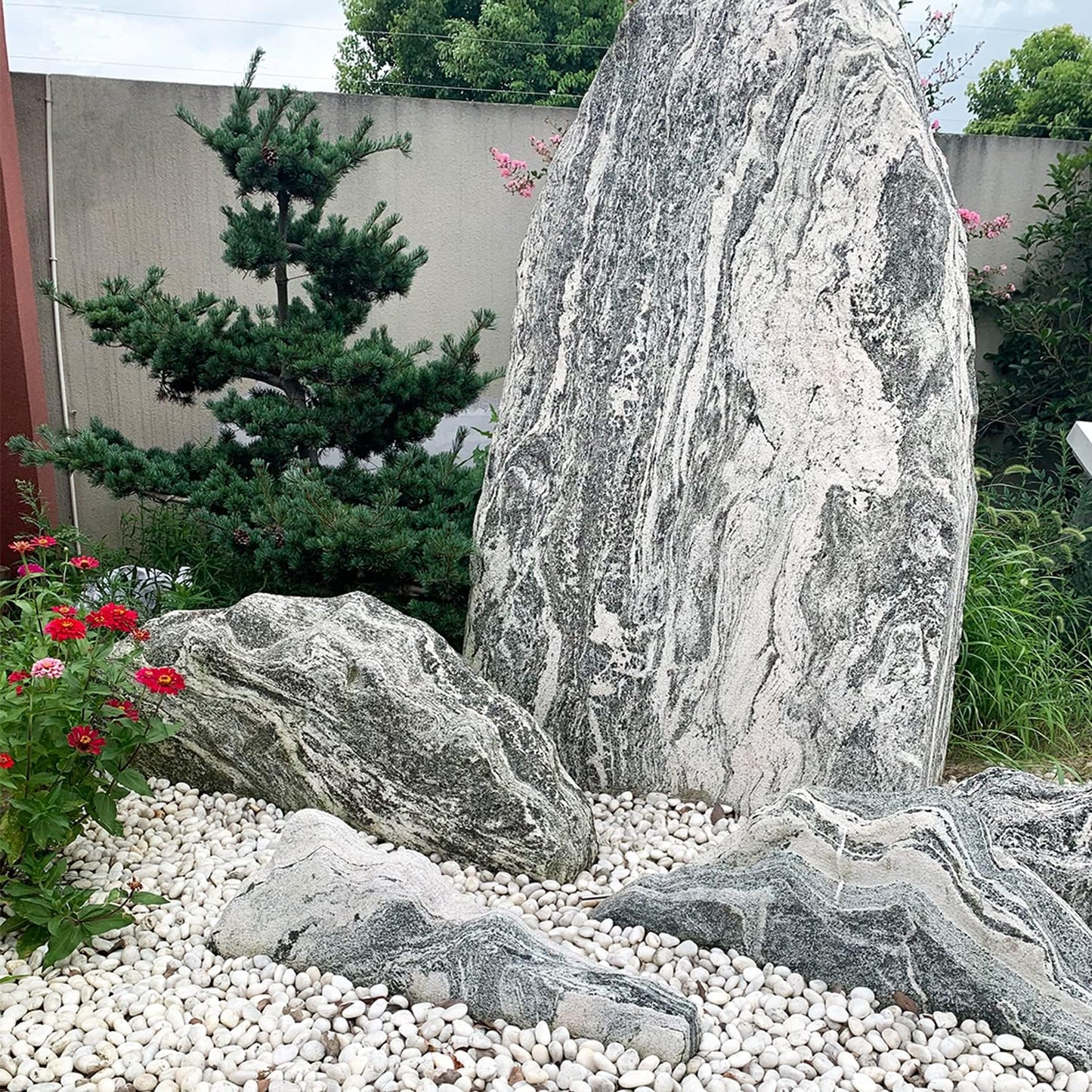 5 lbs White River Rocks, Polished Pebbles for Indoor Plants, 1-2 inch Decorative White Stones for Plants Vase Aquarium Fish Tank and Outdoor Garden Landscaping Rocks