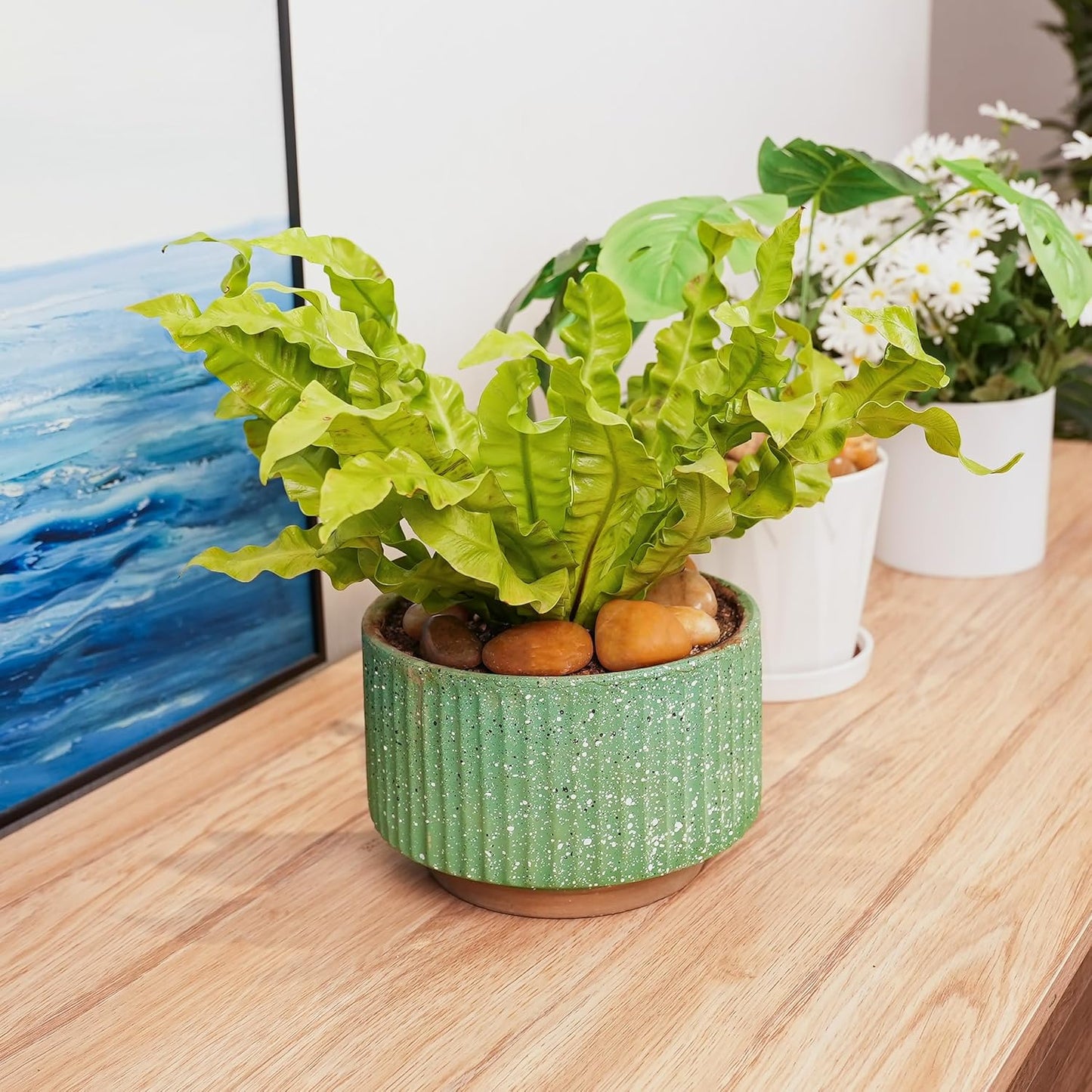 12 LBS River Rocks, StoneCreek, Decorative Garden Stones for Plant Landscaping, Polished Gravel Filler Pebbles for Home Decoration, Vases, Succulents, Flower Beds and Fish Tanks (Pale Yellow, Medium)