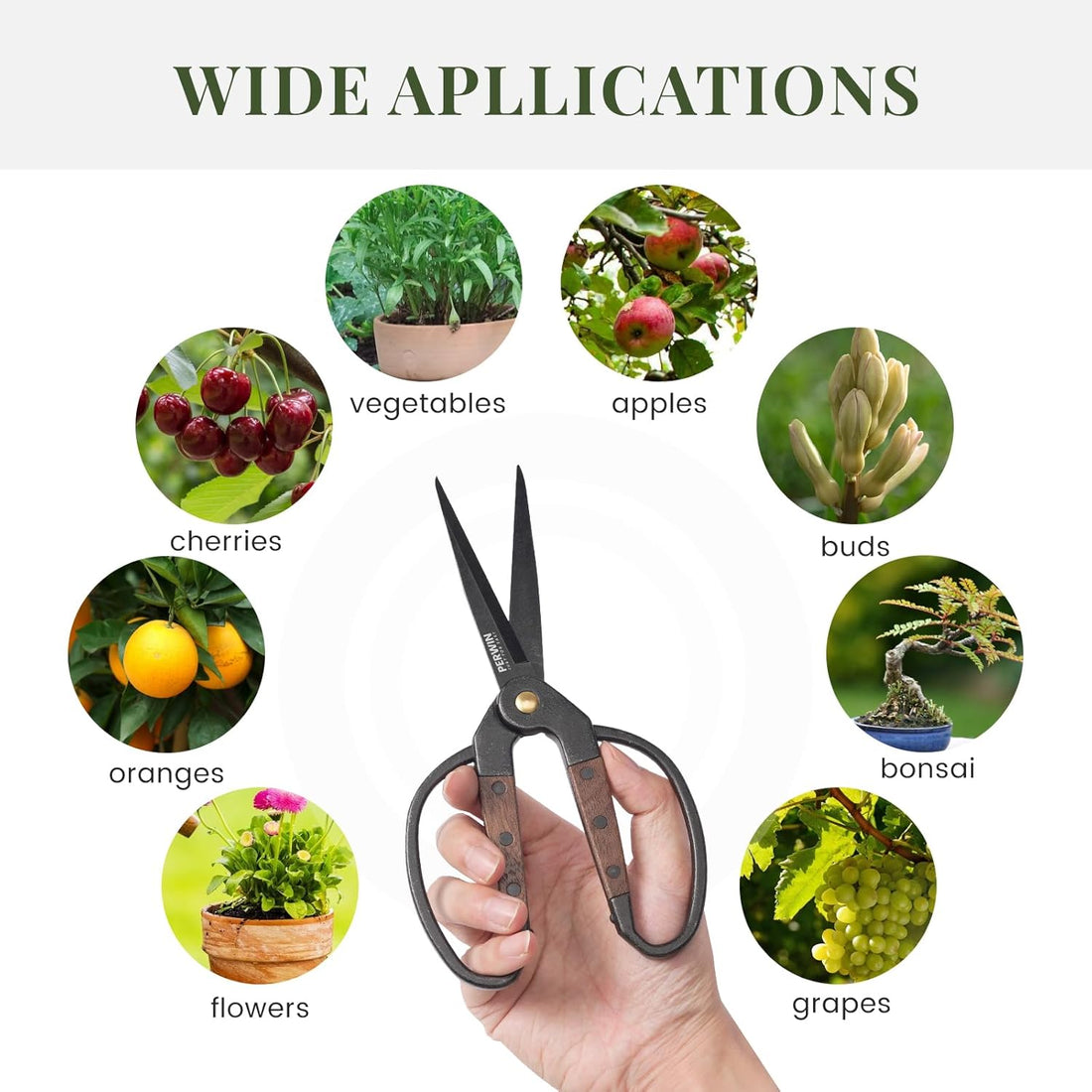 Premium Garden Bonsai Scissors with Walnut Handles – Perfect for Precision Trimming, Succulents, and Floral Work