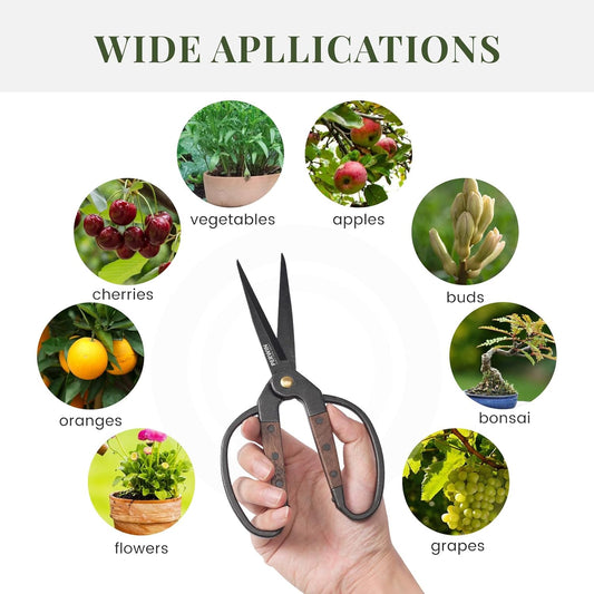 Premium Garden Bonsai Scissors with Walnut Handles – Perfect for Precision Trimming, Succulents, and Floral Work