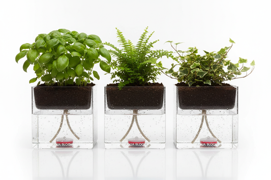 Self-Watering Planters: The Complete Guide to Effortless Plant Care