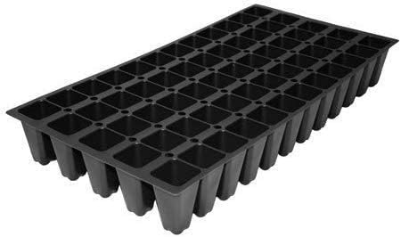 Evergreen Giant Liriope Muscari - 20 Live Plants - Drought Tolerant Low Maintenance Evergreen Groundcover Grass