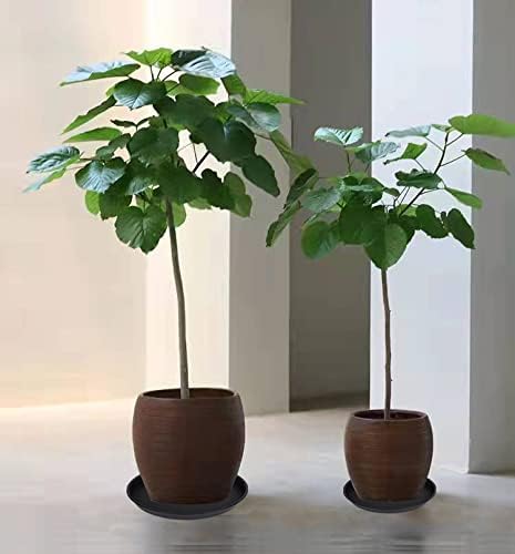 2 Pack of 14 inch Plant Saucer, Heavy Duty Round Plant Trays for Pots, Plastic Plant Water Tray, Flower Plant Saucers for Indoors, Pot Drip Trays for Planter 12-14" (14", Black)