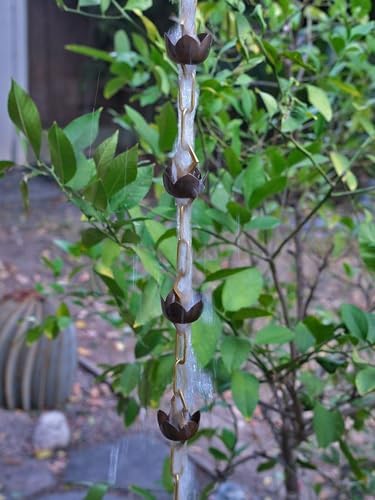 Nutshell Stores Lotus Rain Chain - 20 Feet