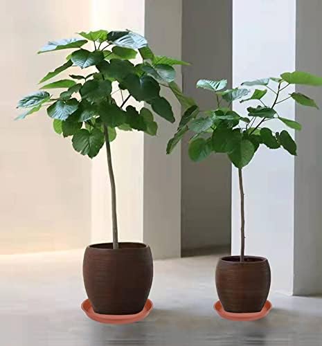 4 Pack of 16 17 inch Plant Saucer Tray (15 inch Base), 2.3" Depth, Heavy Duty Deep Planter Trays for Pots, Plastic Plant Saucers for Indoors, Plant Water Drip Trays (17", Terracotta)