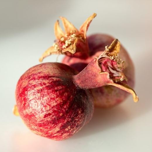 Live Dwarf Pomegranate Plant (Punica Granatum) - Compact, Ornamental Fruit Bearing Shrub, Indoor/Outdoor (4 pom-Dwarf sacs)