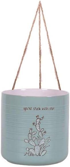 Hanging Sanora Cactus 6.5'' Flower Pot, Multi Color