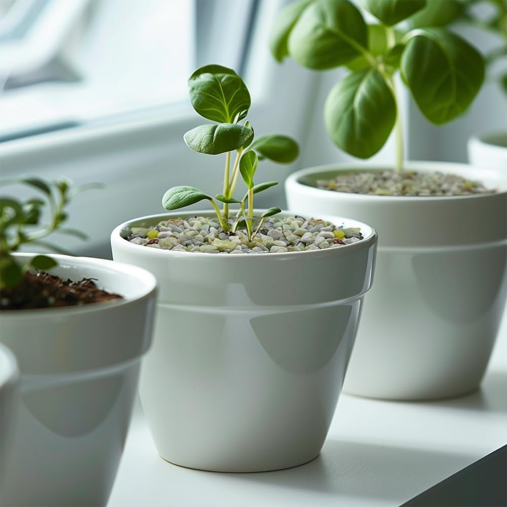 HappyFiller 1.1 LB Natural Decorative Small Jade Gravels Mini River Rocks Soil Cover Pebbles Stones for Succulent Plant,Planter Bonsai,Fairy Garden,Candle Home Decor,Light Green Mix