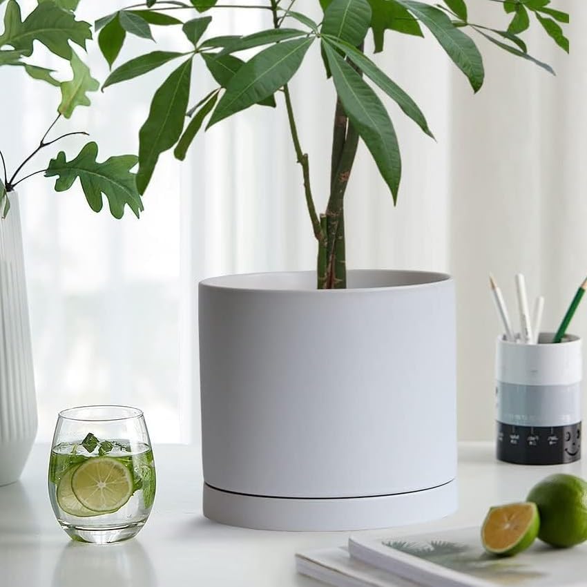 2 Pack Ceramic Plant Saucer Pot Tray 7 Inch, Planter Saucers 4 5 6 7 8 9 10 11 12 13 Inch for Indoors Outdoor, Durable Sturdy Flower Drainage drip Water Tray for Glazed Pots Base (7 Inch-White)