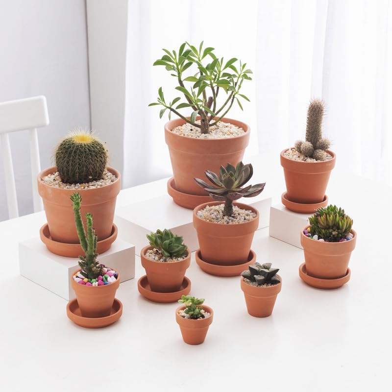 Fcacti 6 inch Middle Terra Cotta Plant Saucers, Round Pot Drip Trays,Durable Thicker Clay Plant Tray Flower Pot Saucers for Outdoors Indoors Flower Pots and Planters,Pack of 8