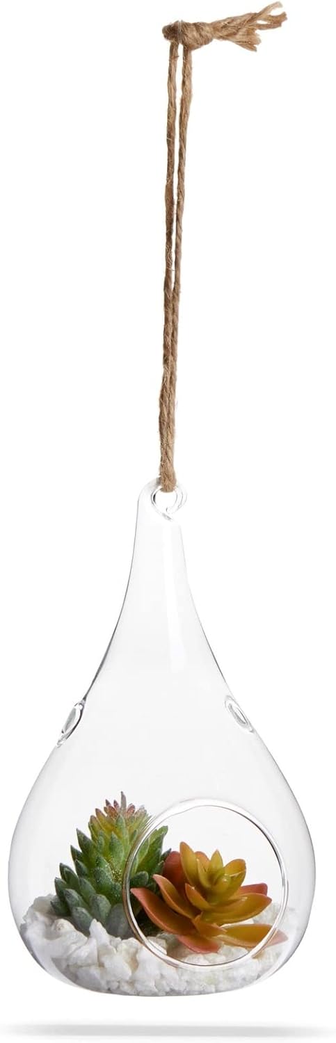 Juvale 5-Pack Hanging Glass Terrarium Containers - Air Plant Holder, Succulent Planter, Tea Light Candle Hangers (3.5x5 in) - Planter Terrariums - Hanging Air Plant Holders