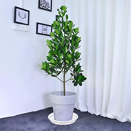 2 Pack of 14 inch Plant Saucers Bird Bath Bowl, Plant Saucer 14" Round, Plastic Plant Tray for Pots, White Planters for Indoor Plants, Plant Trays for Planter 12-15" (14", Creamy White)