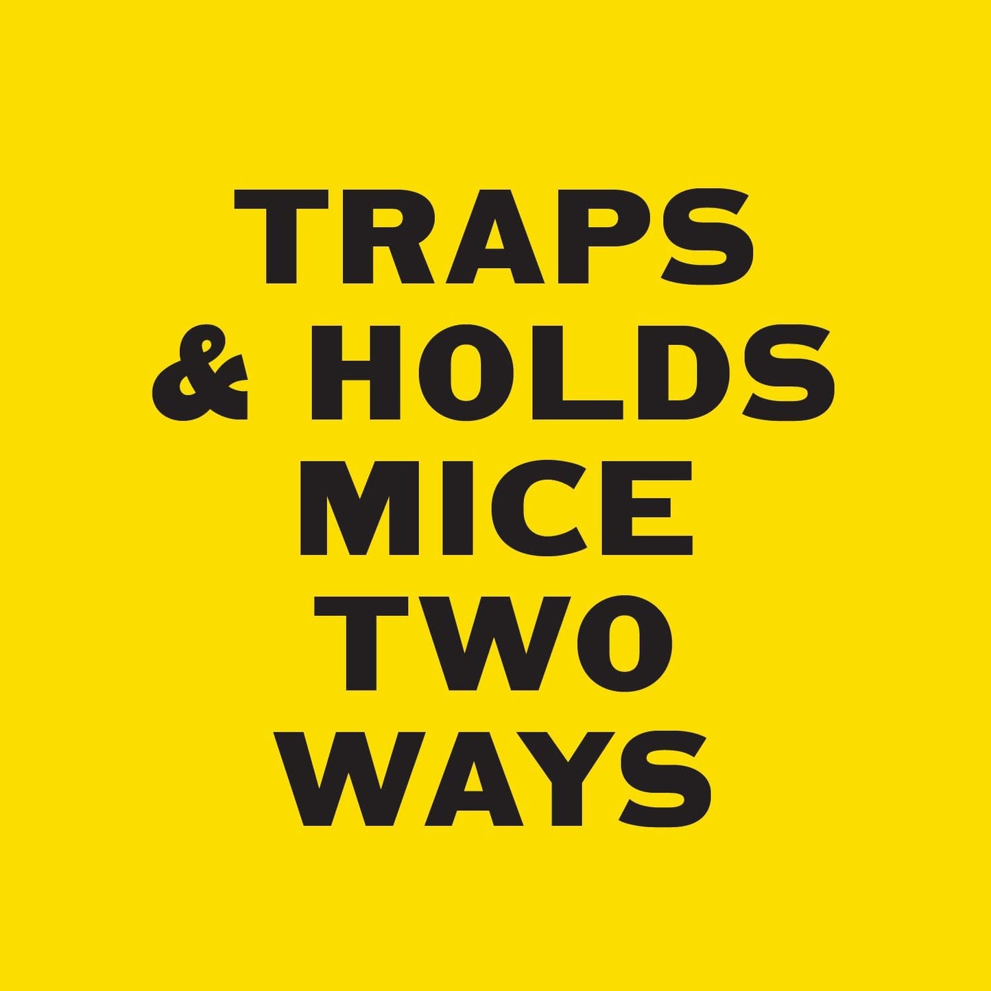 PIC Mouse Glue Boards, Baited Glue Trap with Sticky Adhesive, Sticky Mouse Traps for Indoors, Trampas para Ratones Pest Control Trap, Easy to Set, Non-Toxic, Disposable, 12 Pack (48 Traps Total)