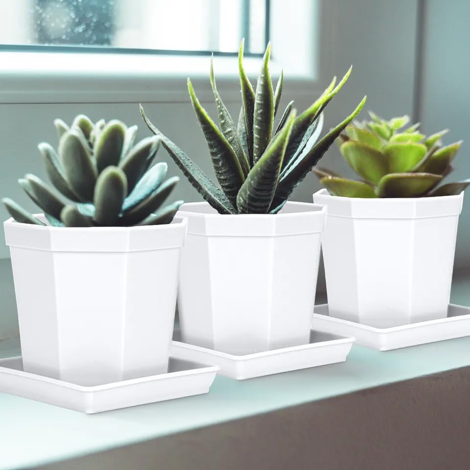 5 Pack Square Plant Saucer 8 Inch, Plant Water Catcher Tray, Pot Saucers for Plants，Heavy Plastic Plant Trays for Pots Pots Base Plant Saucers for Indoors and Outdoors.