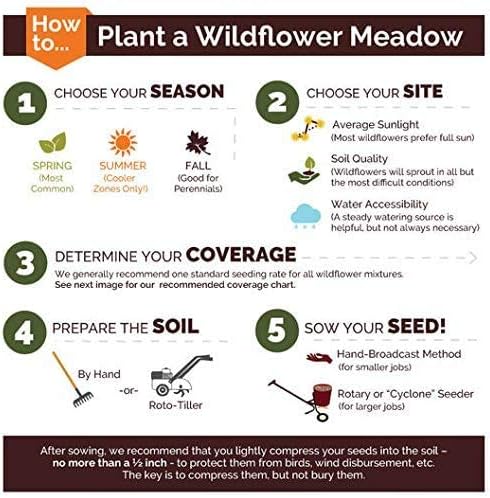 Dirt Goddess Super Seed~ Nasturtium, Tall Trailing Mix Seed~ Tropaeolum majus (5 Lbs)