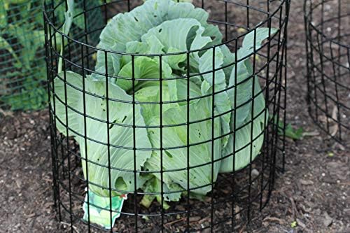 Erva Bunny Barricade Plant Protector Cage (5pk) - Plant Cages for Garden - Plant Protectors from Animals and Crop Cages for Garden - Made in The USA