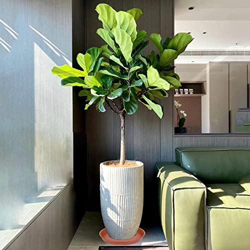 4 Pack of 16 17 inch Plant Saucer Tray (15 inch Base), 2.3" Depth, Heavy Duty Deep Planter Trays for Pots, Plastic Plant Saucers for Indoors, Plant Water Drip Trays (17", Terracotta)