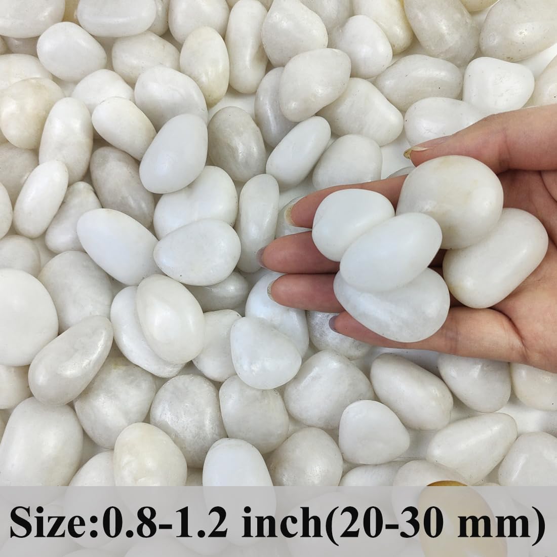 2lbs Small White Pebbles for Plants, 0.8-1.2 inch Decorative River Rocks for Plants, Aquariums, Landscaping. White Stones for Planter Vase and Outdoor Garden Rocks