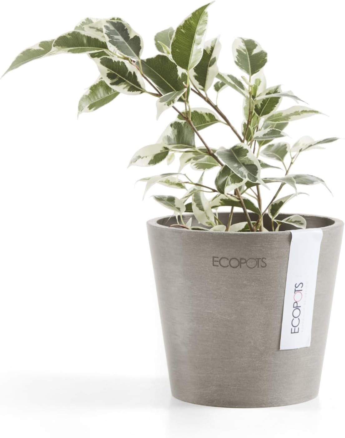 Ecopots Amsterdam Mini Durable Modern Round Recycled-Based Composite Flower Pot Planter, Taupe, 4"