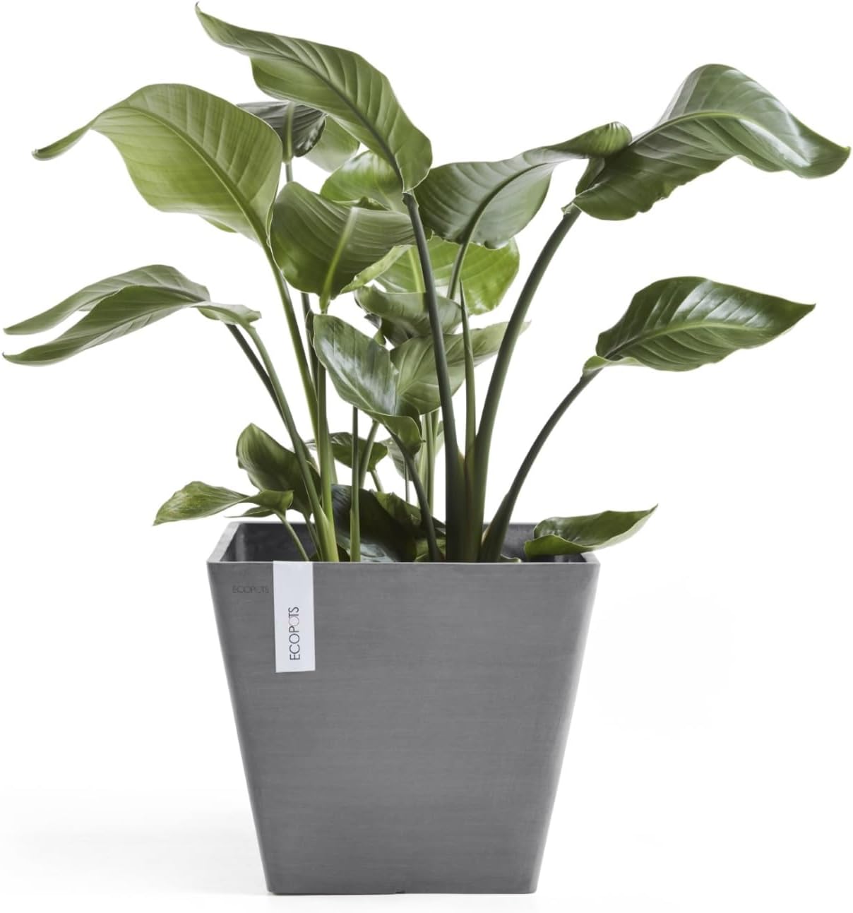 Ecopots Rotterdam Durable Modern Square Indoor/Outdoor Recycled-Based Composite Flower Planter, Grey, 12"