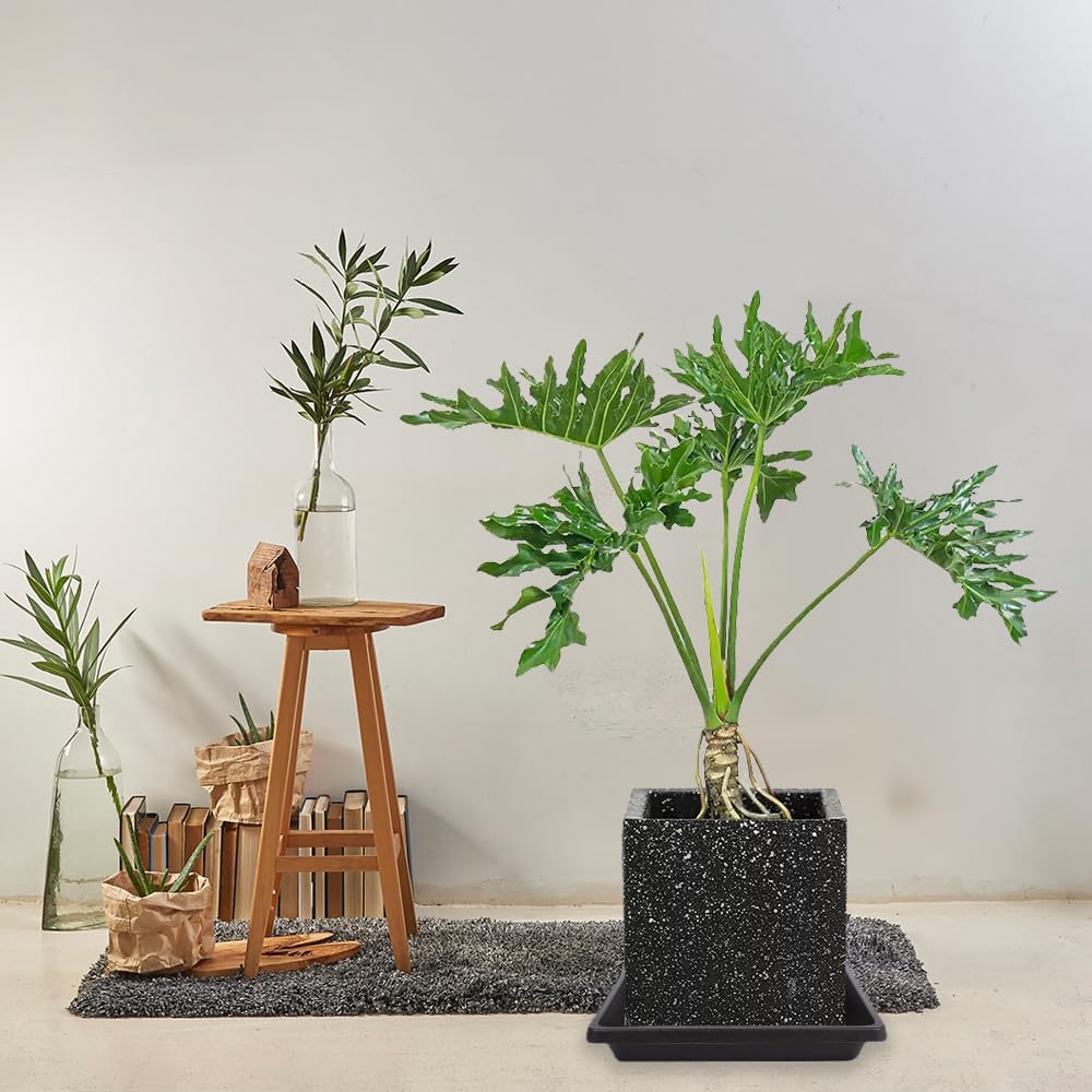 Square Plant Saucer 18 Inch 2 Pack, Extra-Deep Large Saucers for Potted Plants, Plastic Plant Trays for Indoors No Holes, Plant Water Catcher Tray, Flower Pot Drip Trays Plant Plate