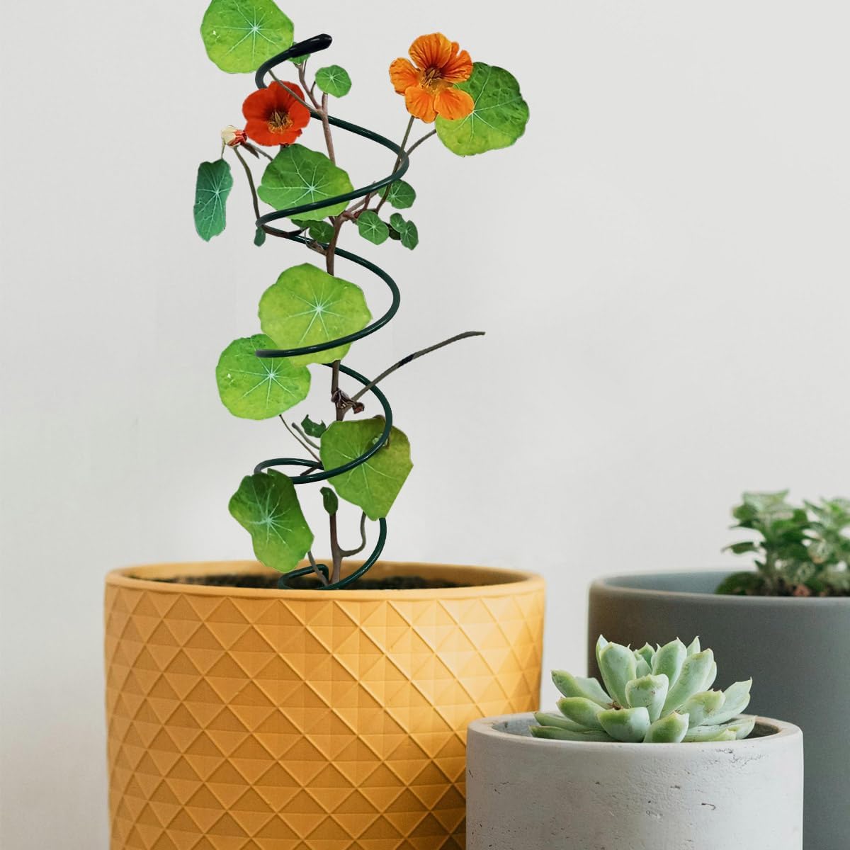 4Pack Spiral Tomato Stakes Plant Trellis ，Indoor Metal Wire Garden Trellis ，Small Climbing Leaf Shape Trellis for Garden Potted Plant