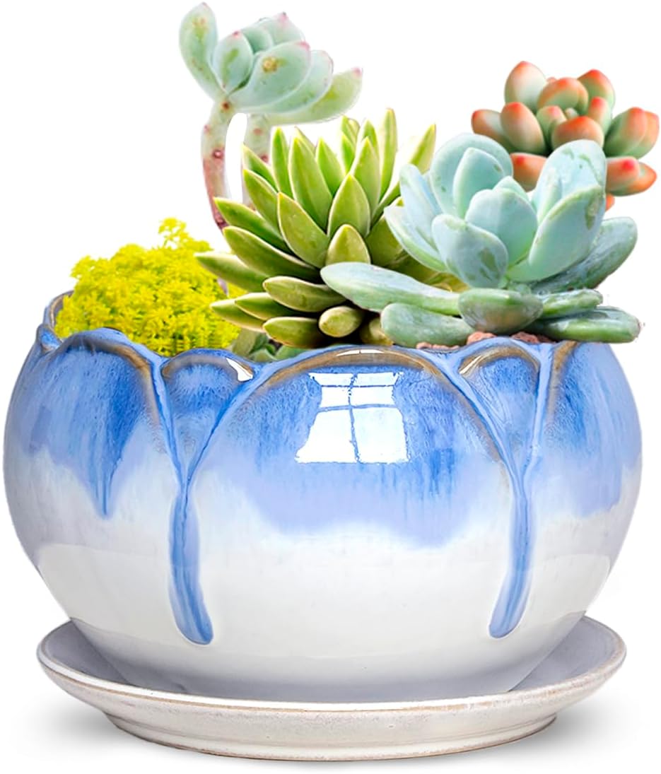 Dahlia 5.5'' Inch Rustic Drip Glazed Ceramic Planter/Succulent Pot/Plant Pot w. Saucer/Tray, White