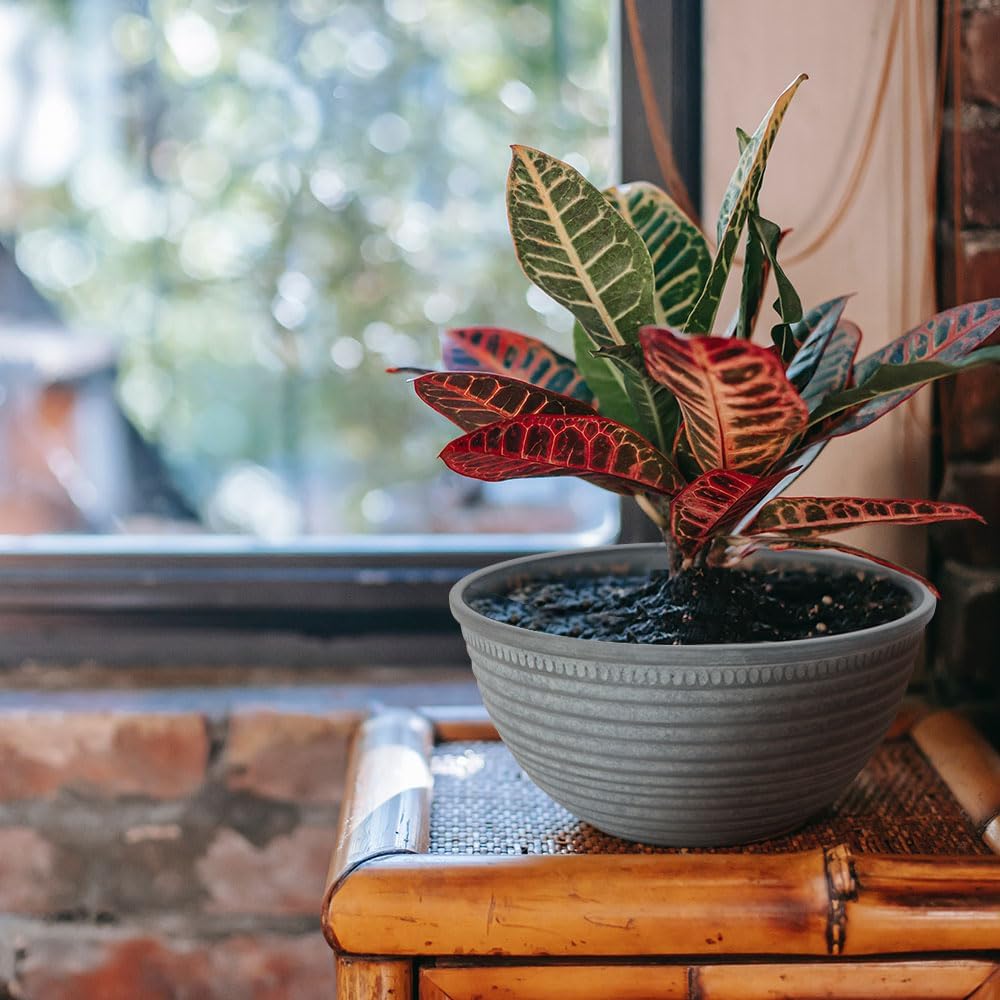 2 Pack 10 Inch Plant Pots,Durable Decorative Flower Pots Planters with Drainage Hole for Indoor and Outdoor Plants,Flowers,Succulents, Gray