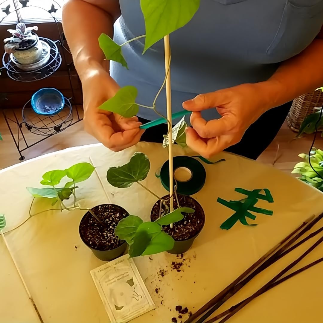 100 Pack 18'' Natural Bamboo Plant Stakes, Wood Plant Supports, Wood Garden Sticks for Plants Tomato Floral Potted, Wooden Sign Posting Garden Sticks