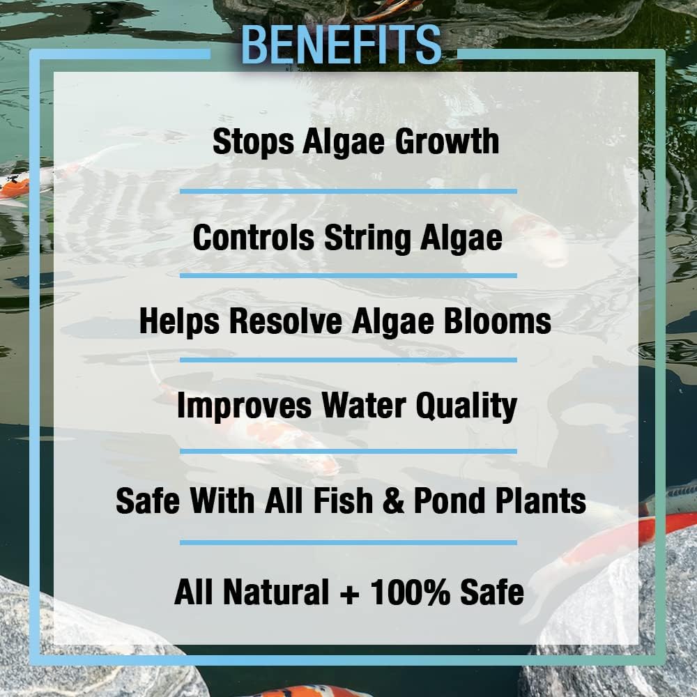 MICROBE-LIFT ALGA16 Algaway 5.4 Algae Control Treatment for Ponds and Water Gardens, Safe for Koi Fish, Goldfish, Plants, and Decorations, 16 Ounces