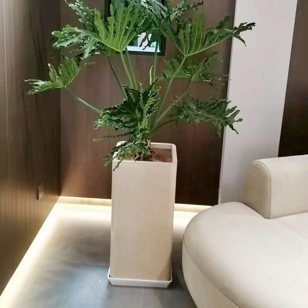 5 Pack Square Plant Saucer 14 Inch, Durable Plastic Plant Trays Plant Pot Saucers, Square Planters for Indoors and Outdoors Plants，Large Plant Saucers for Pots.